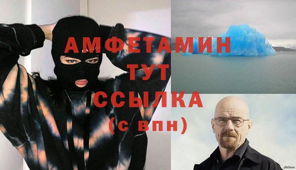 шишки Белокуриха